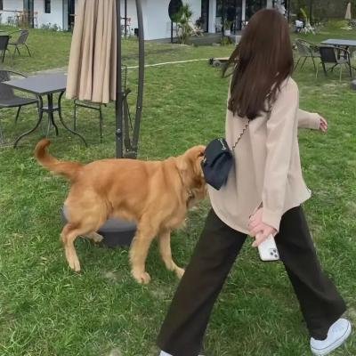 性摇滚明星乐